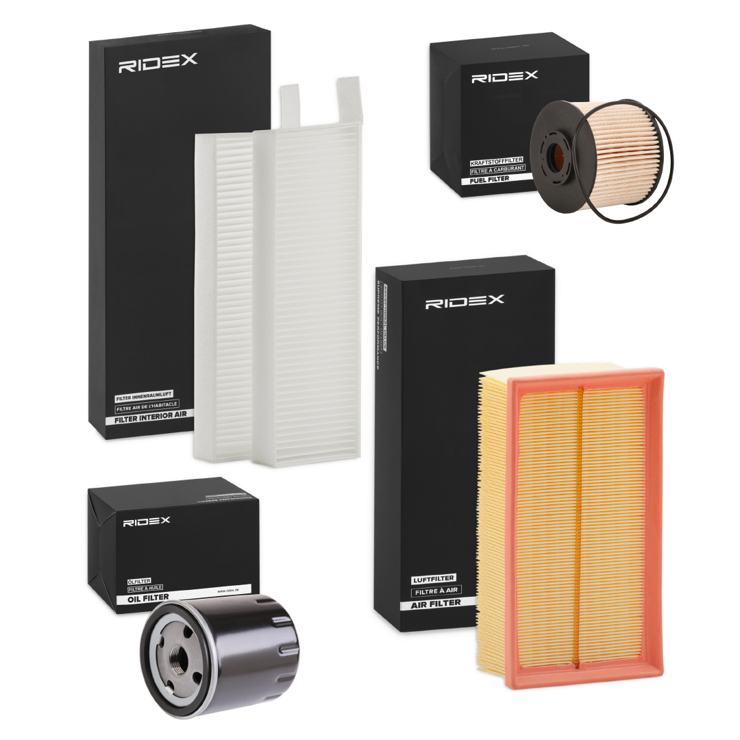 RIDEX 4055F25233