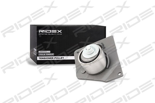 RIDEX 308T0091