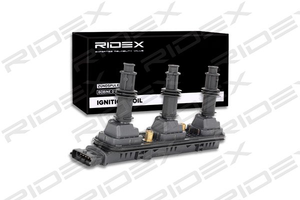 RIDEX 689C0274