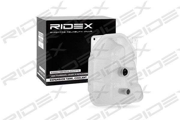 RIDEX 397E0019