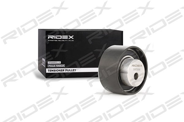 RIDEX 308T0096