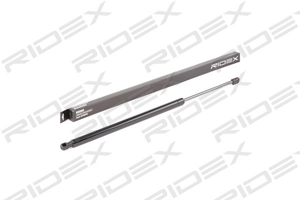 RIDEX 219G0577