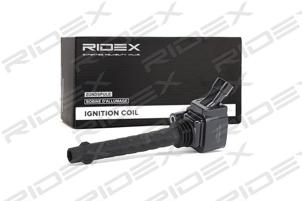 RIDEX 689C0220
