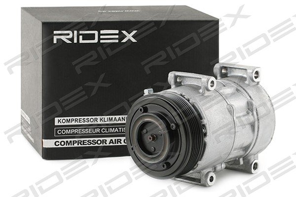 RIDEX 447K0359