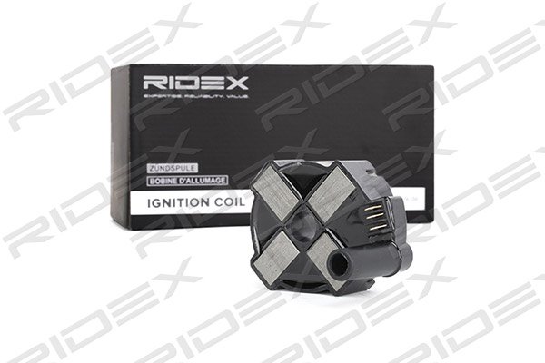 RIDEX 689C0143
