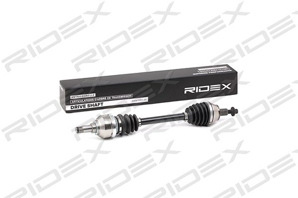 RIDEX 13D0252