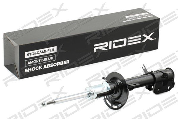 RIDEX 854S1893