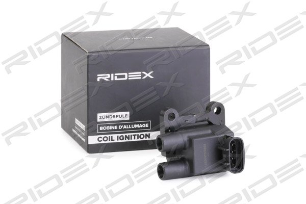RIDEX 689C0330