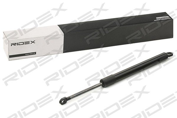 RIDEX 1207G0002 RIDEX 1207G0002