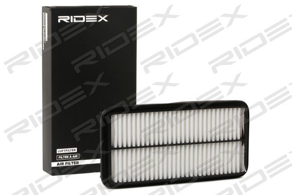 RIDEX 8A0175
