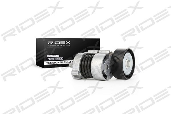 RIDEX 310T0019