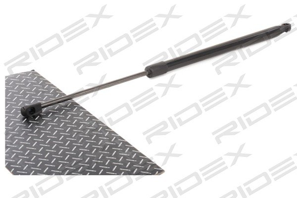 RIDEX 219G0936