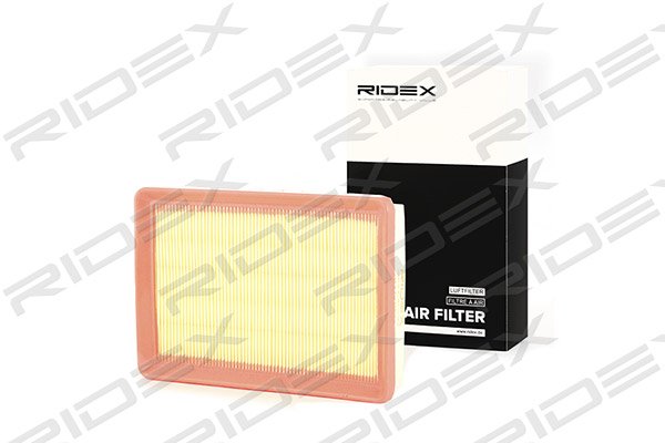 RIDEX 8A0207