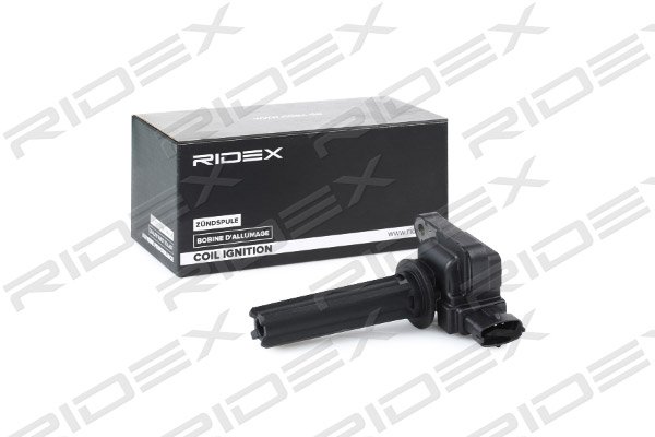RIDEX 689C0051