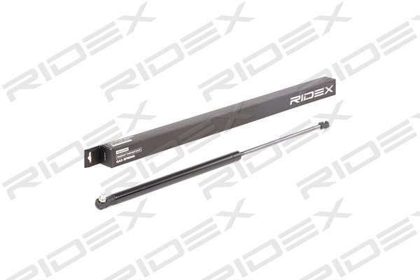 RIDEX 219G0235