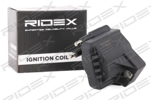 RIDEX 689C0133