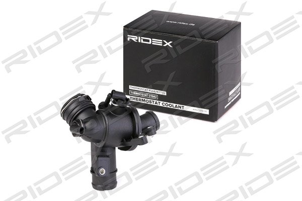 RIDEX 316T0111