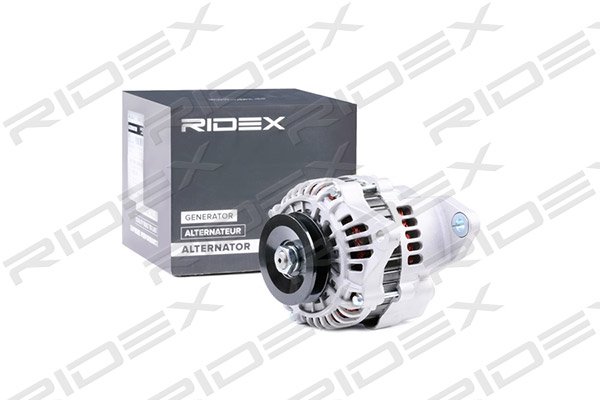 RIDEX 4G0253