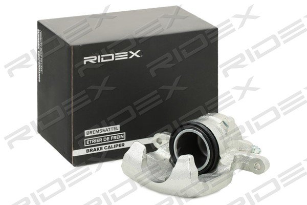 RIDEX 78B0860