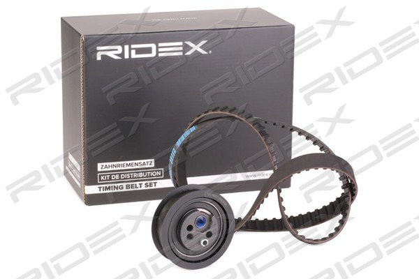 RIDEX 307T0113