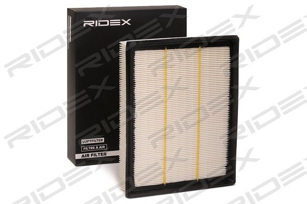 RIDEX 8A0025