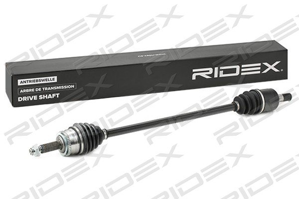 RIDEX 13D0553