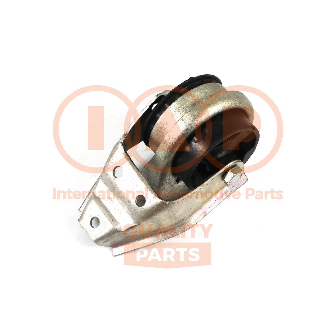 IAP QUALITY PARTS 138-00100P