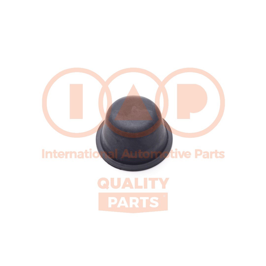 IAP QUALITY PARTS 404-14034