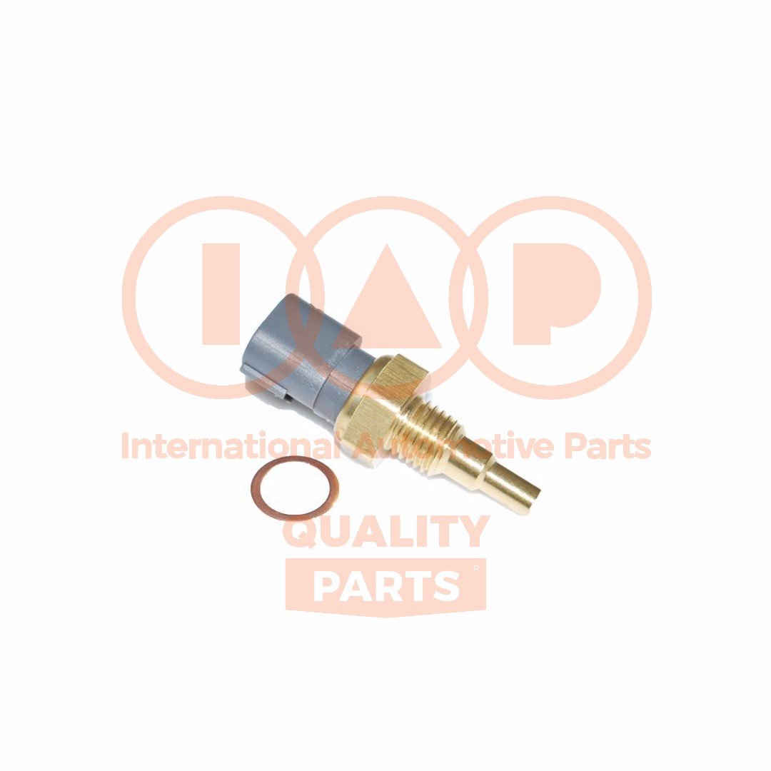 IAP QUALITY PARTS 842-15031