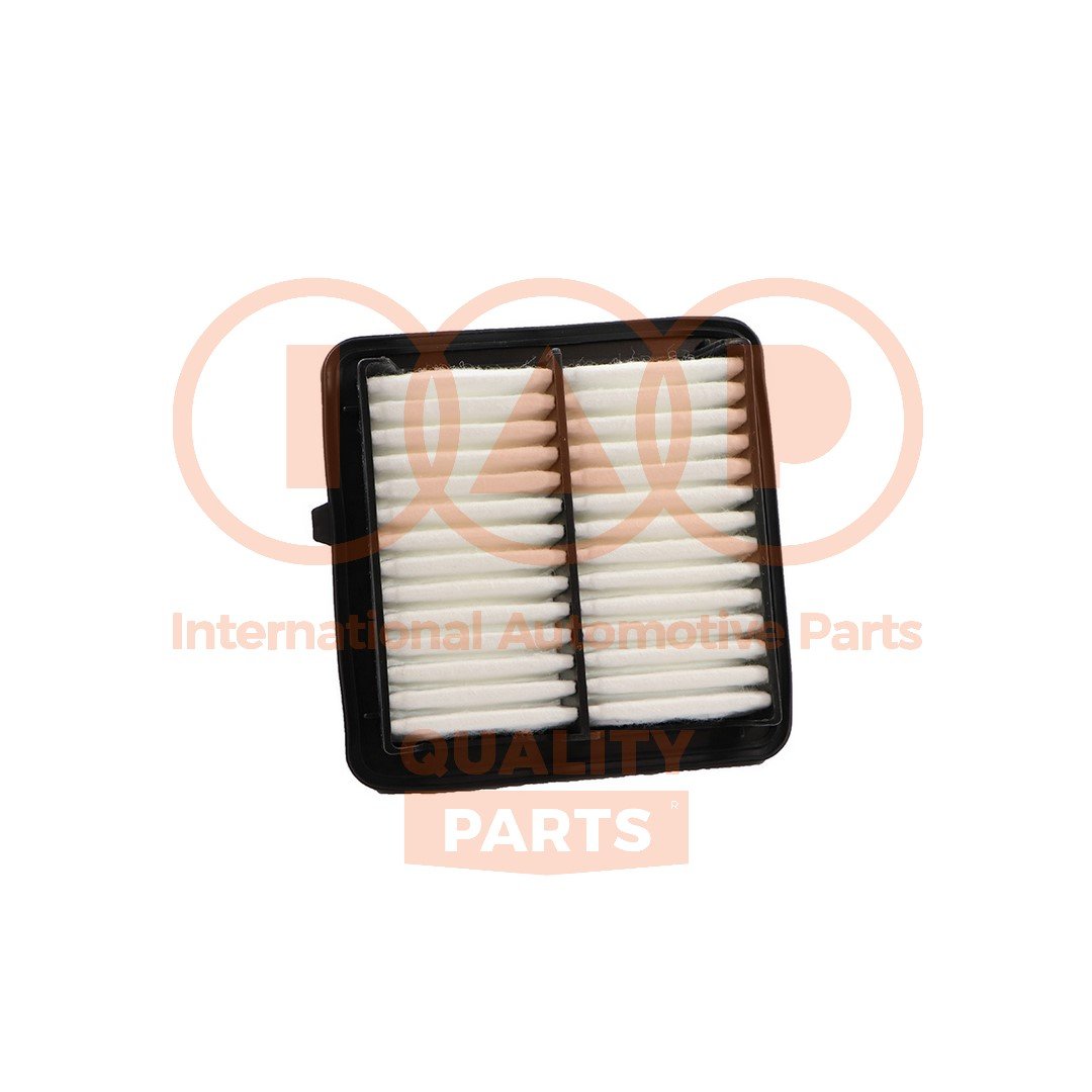 IAP QUALITY PARTS 121-06113