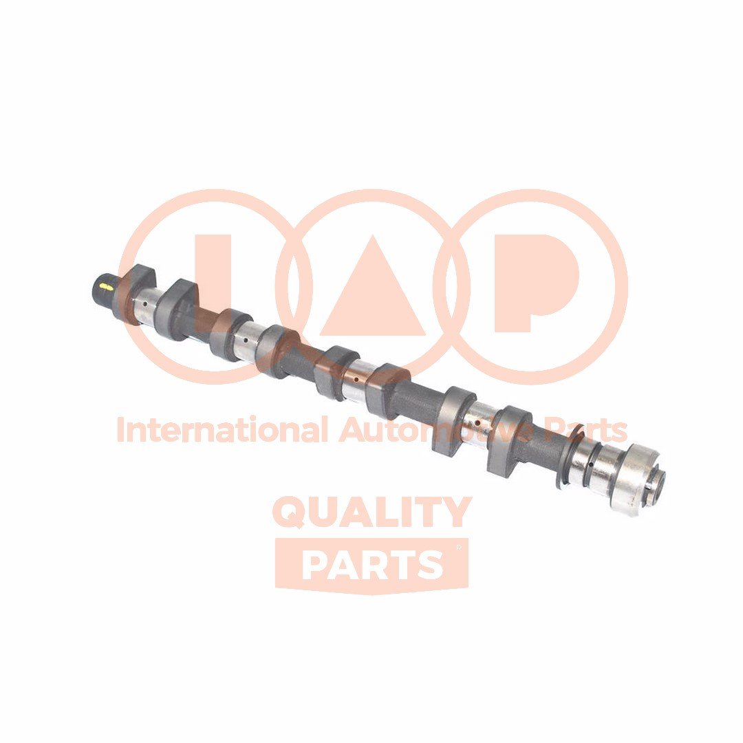 IAP QUALITY PARTS 124-20034G