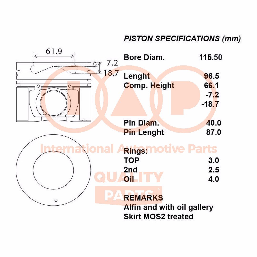 IAP QUALITY PARTS 100-09097