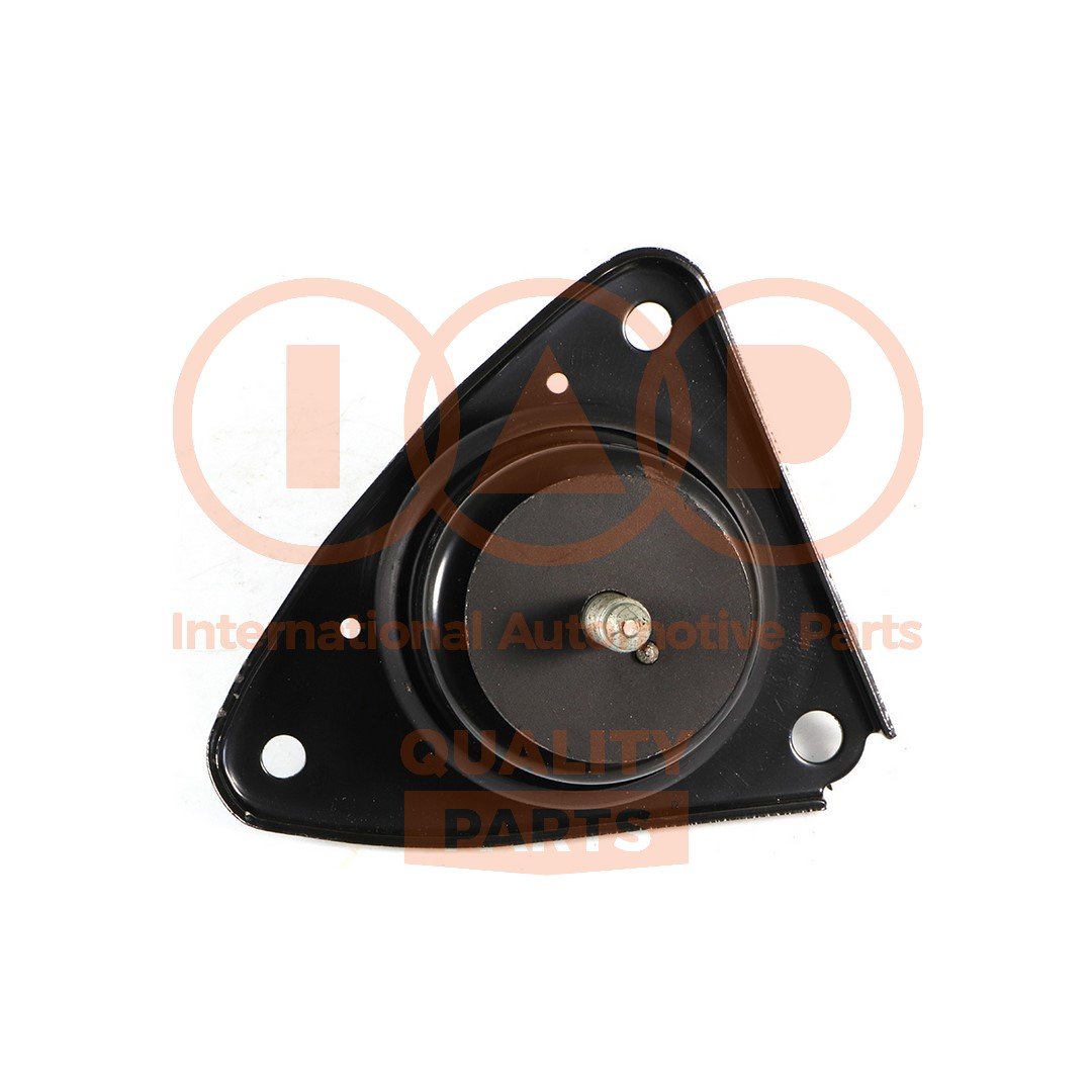 IAP QUALITY PARTS 138-21100