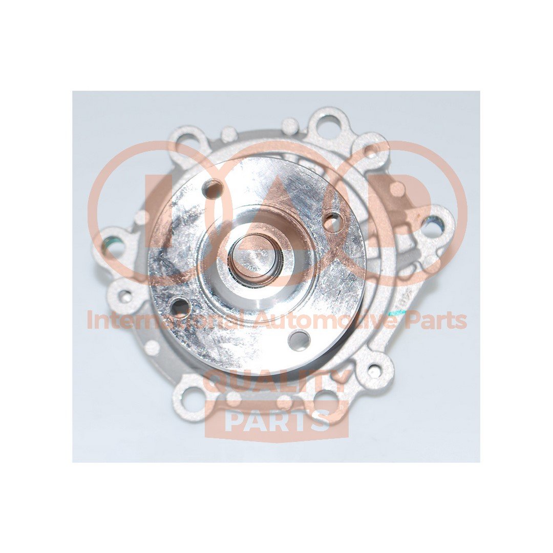 IAP QUALITY PARTS 150-17051E