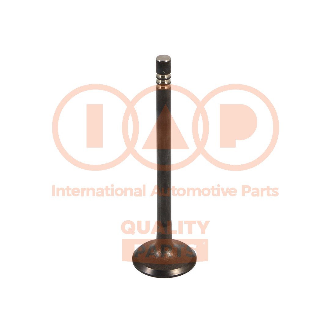 IAP QUALITY PARTS 110-07065G