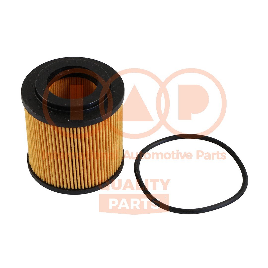 IAP QUALITY PARTS 123-16079