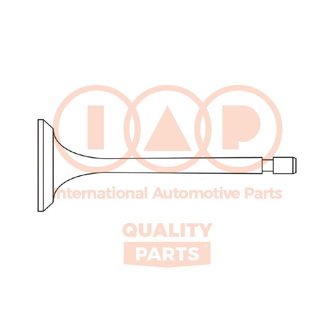IAP QUALITY PARTS 110-09096