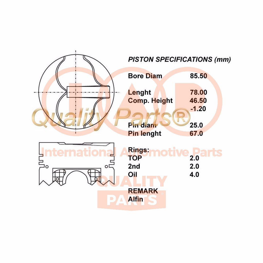 IAP QUALITY PARTS 100-13053