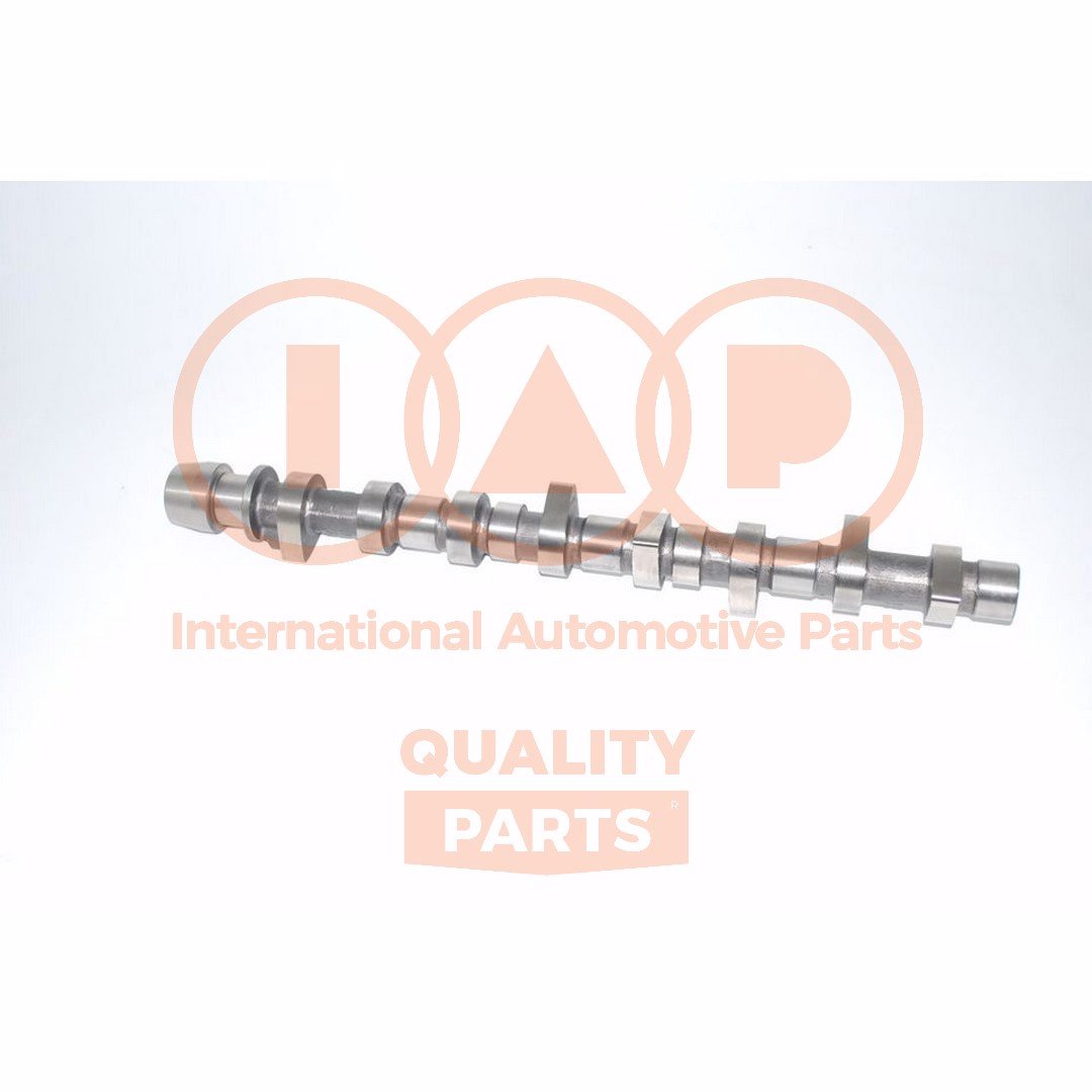 IAP QUALITY PARTS 124-17073