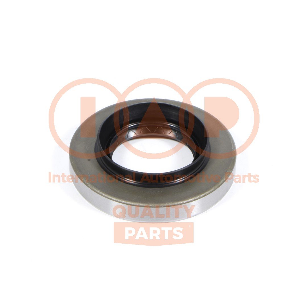 IAP QUALITY PARTS 411-17010