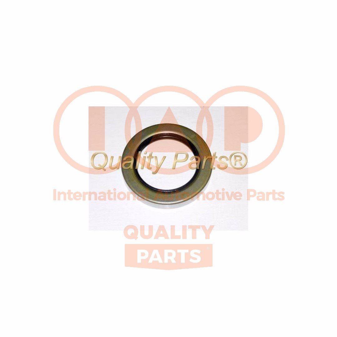 IAP QUALITY PARTS 404-07064 IAP QUALITY PARTS 404-07064