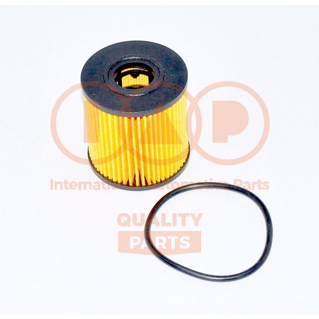 IAP QUALITY PARTS 123-14073