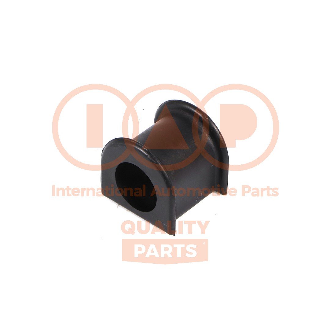 IAP QUALITY PARTS 507-17060