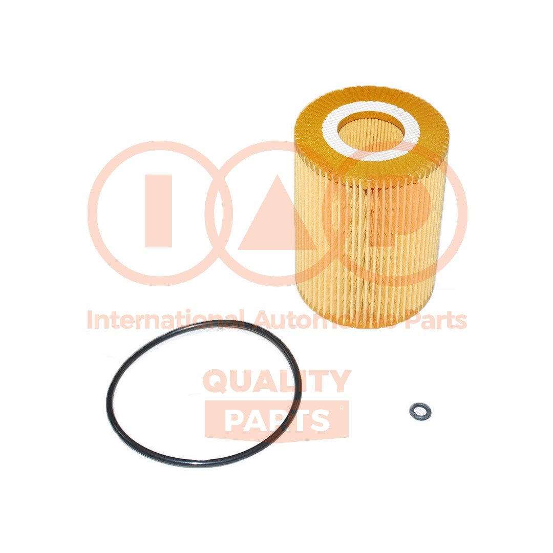 IAP QUALITY PARTS 123-10053