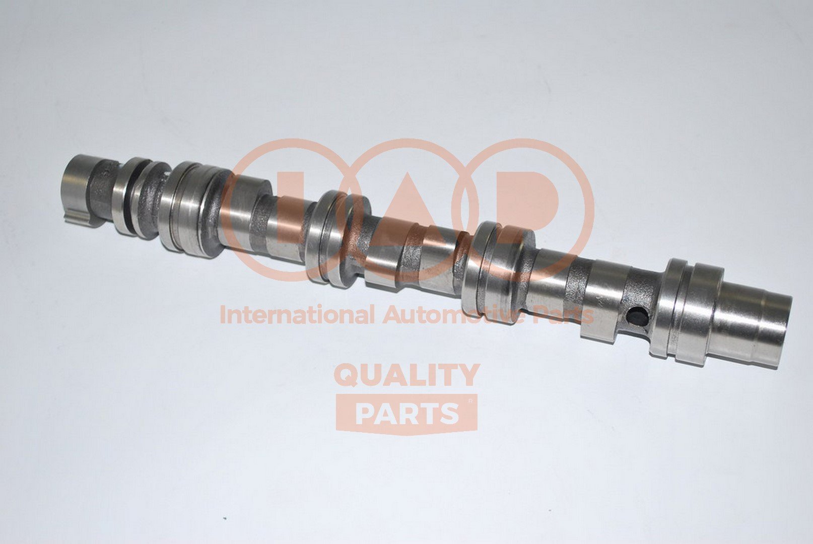 IAP QUALITY PARTS 124-20061G