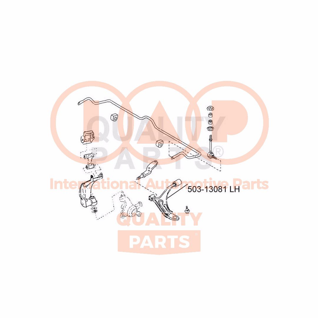 IAP QUALITY PARTS 503-13081