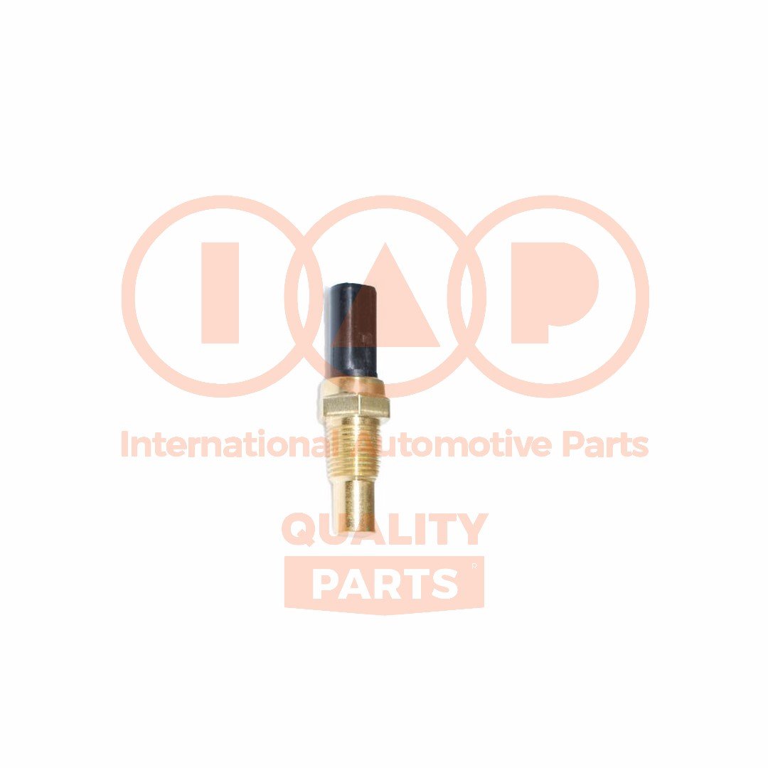 IAP QUALITY PARTS 841-17080