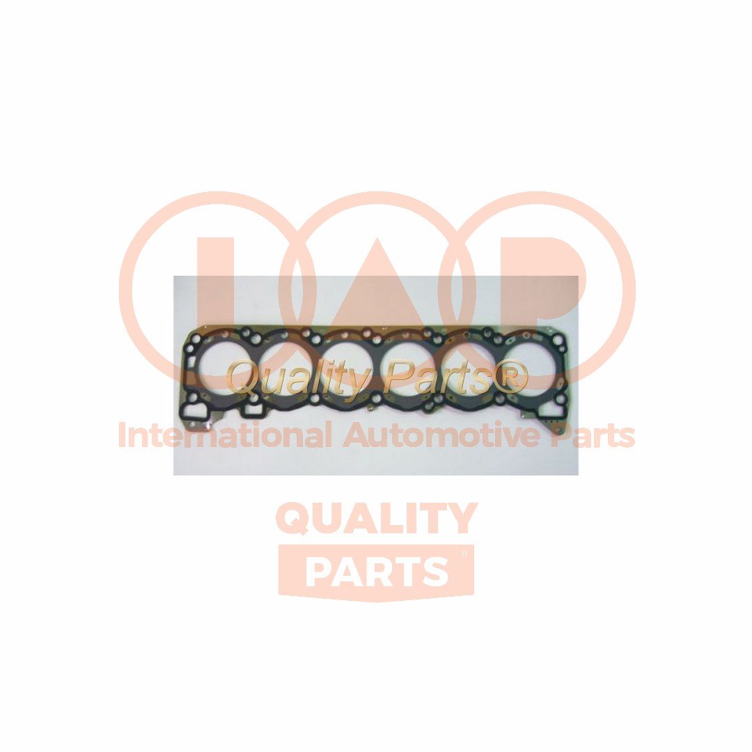 IAP QUALITY PARTS 118-13031P