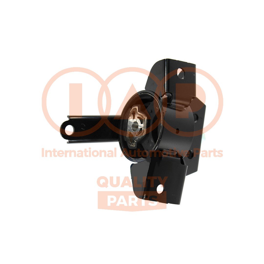 IAP QUALITY PARTS 138-20069