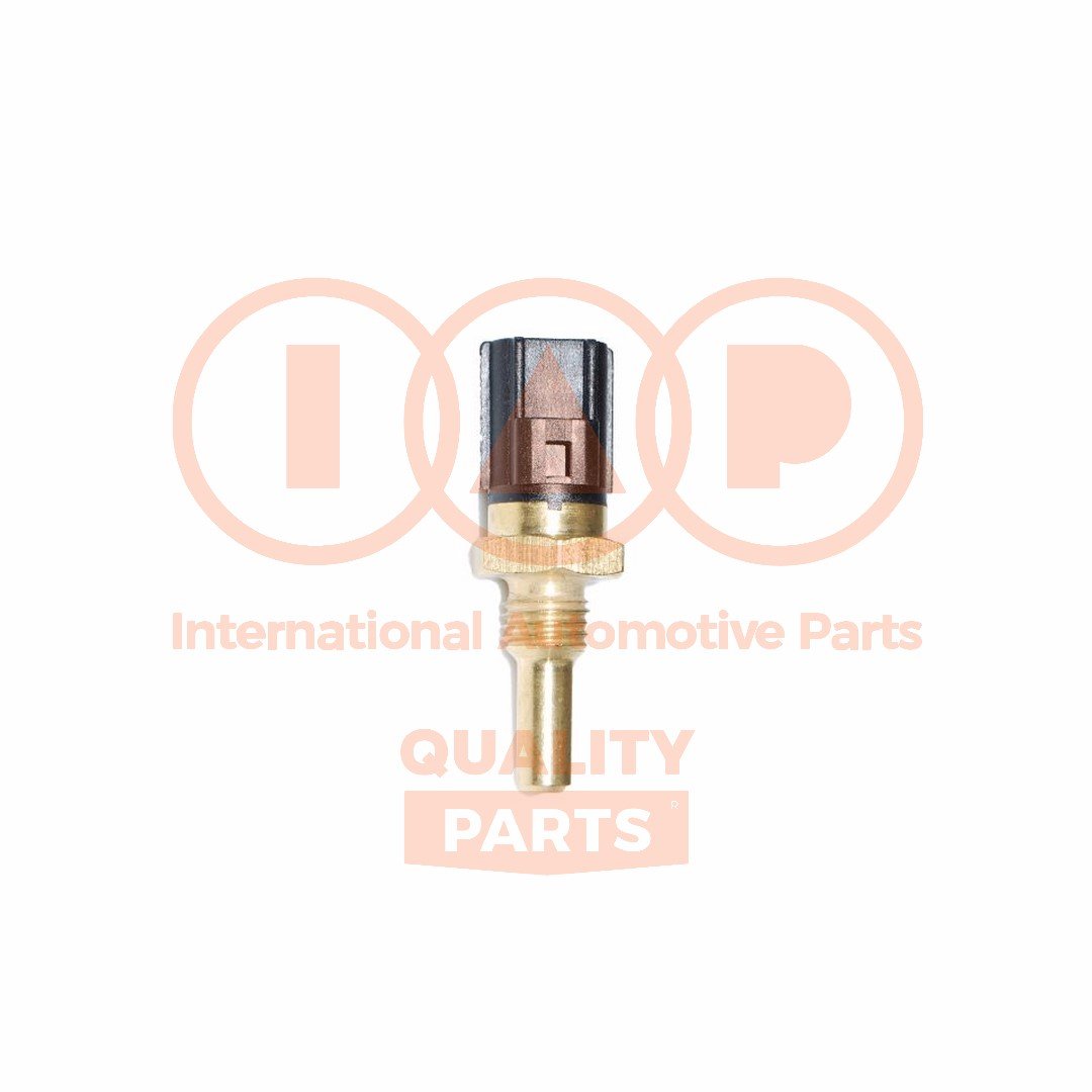 IAP QUALITY PARTS 842-11050